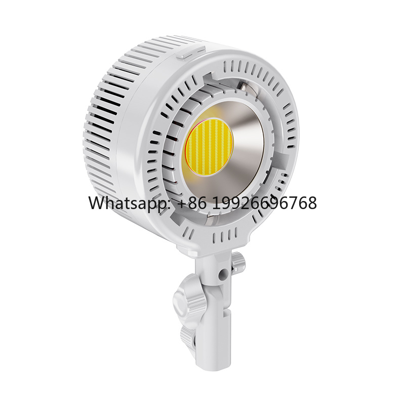 Photography Lighting For Clothing - R200 듀얼 컬러 COB LED 라이트