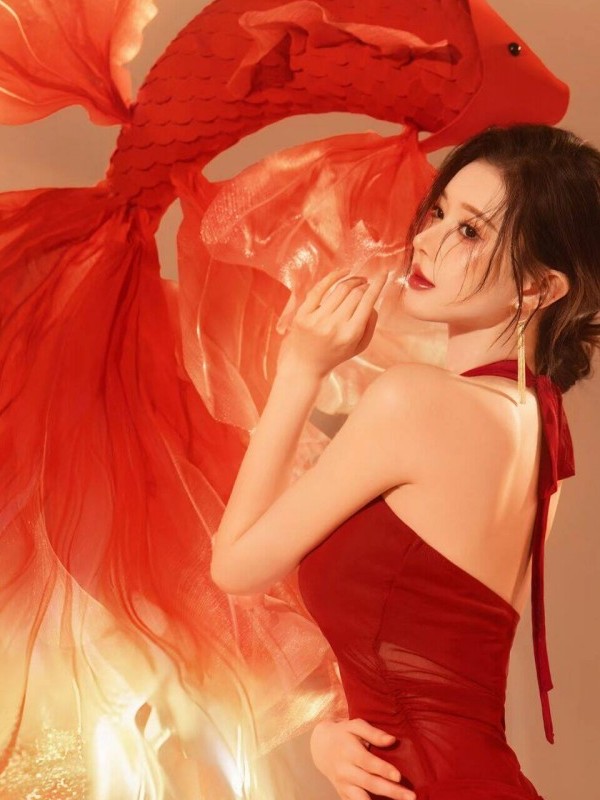 빨간색 새해 사진 촬영 의상, 코이 테마 사진 촬영,  - Photography Lighting For Clothing 리뷰 및 가격